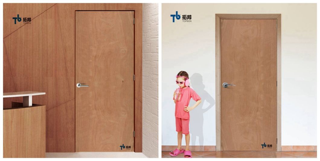 Plywood Door/Interior Door with Good Price