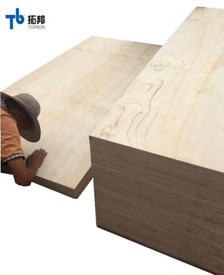 Oak/Ash/Sapeli/Teak/Walnut/Beech/Cherry/Maple Natutal Veneer Laminate Fancy Plywood for Furniture