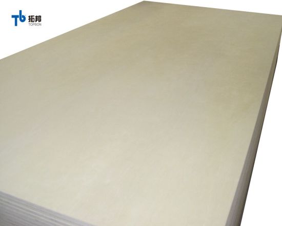 Competitive Price Natural Birch Plywood in Sale