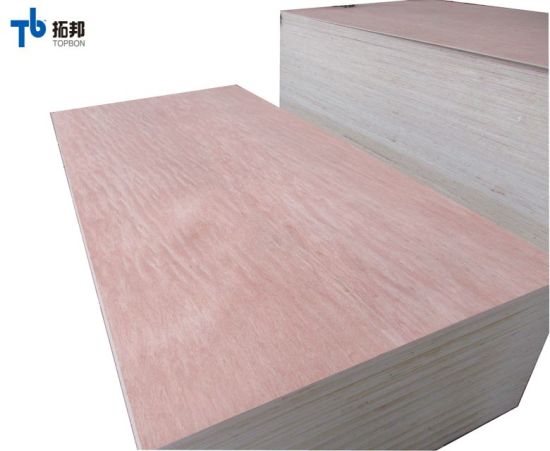 10mm Plywood/Commercial Plywood with Good Quality