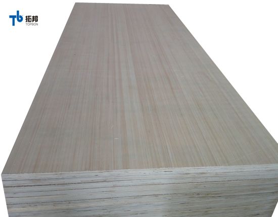 Good Quality EV Poplar Plywood with Low Price