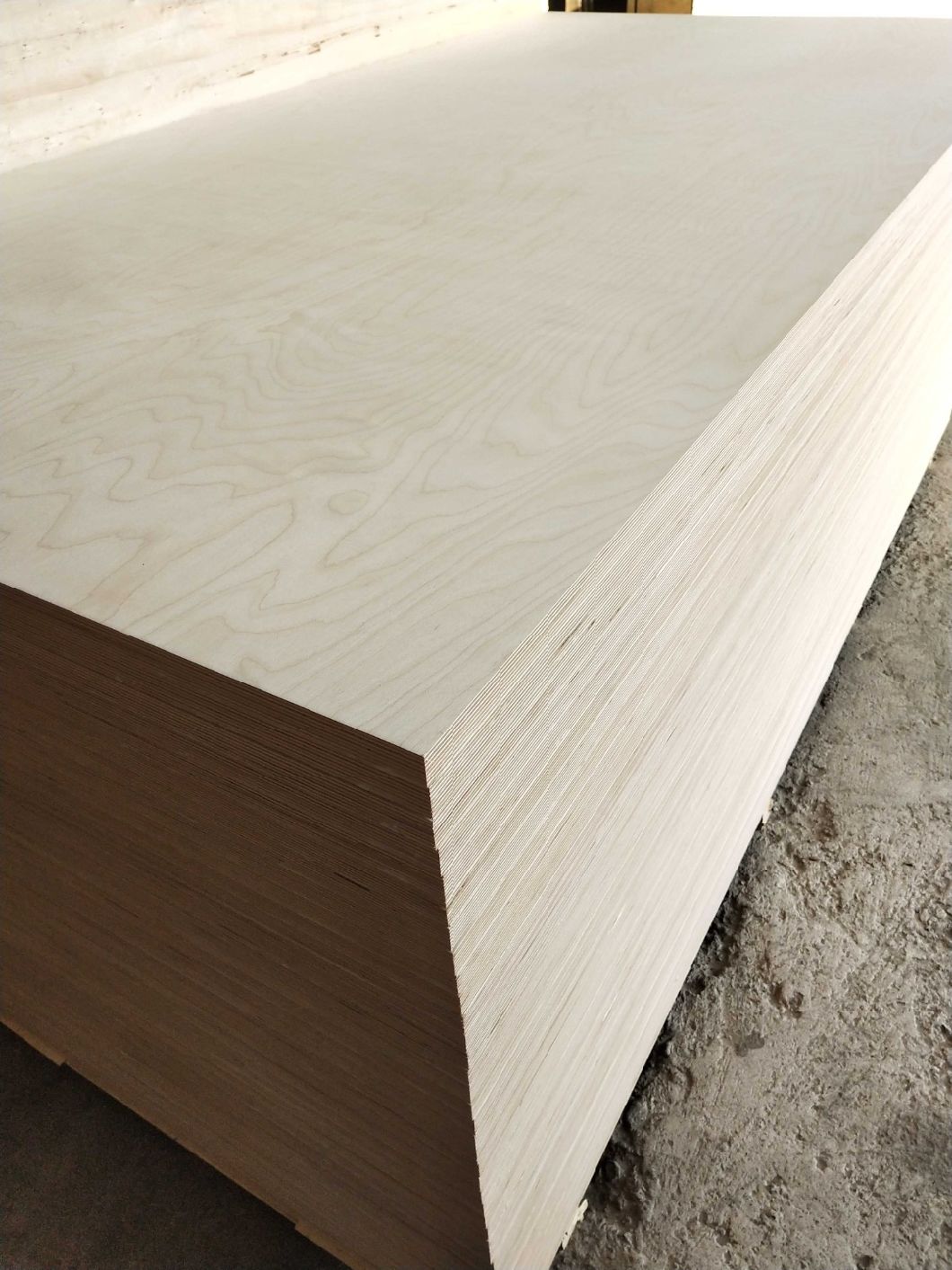18mm Birch Plywood/ Plywood Sheet with High Quality 