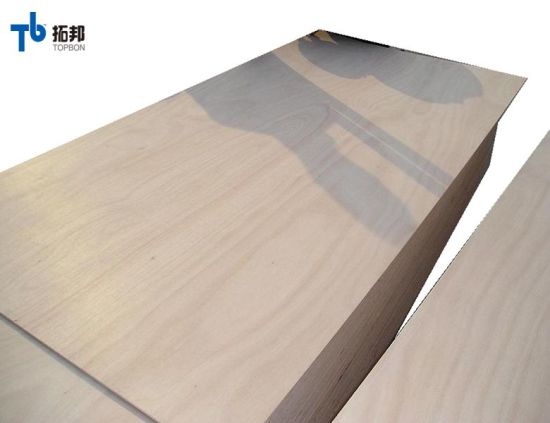 Commercial Plywood with Okoume Face
