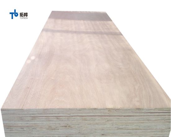 High Quality Sapele Plywood with Good Price