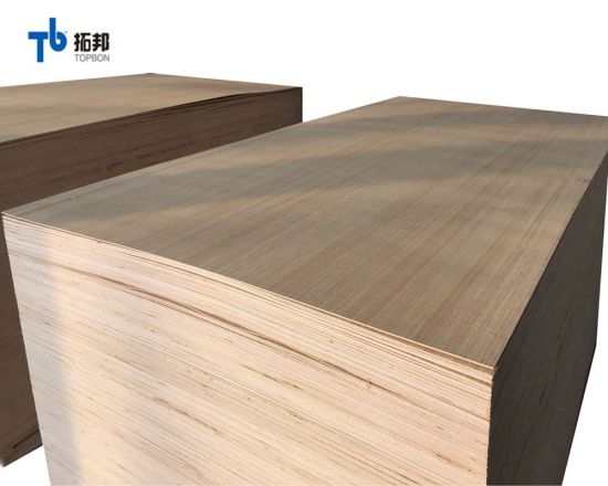 High Quality EV Poplar Plywood with Good Price