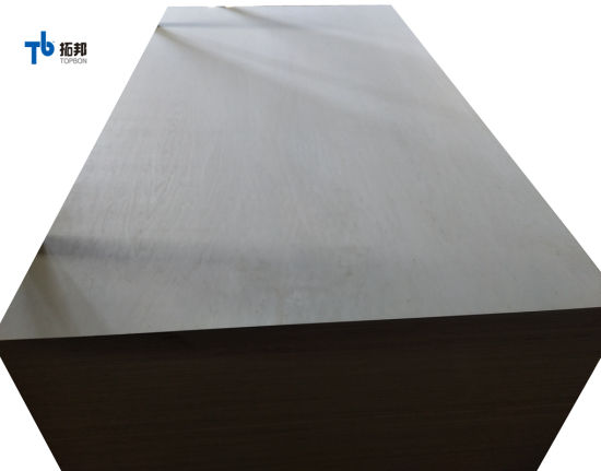 Poplar Plywood/Furniture Plywood with Good Price