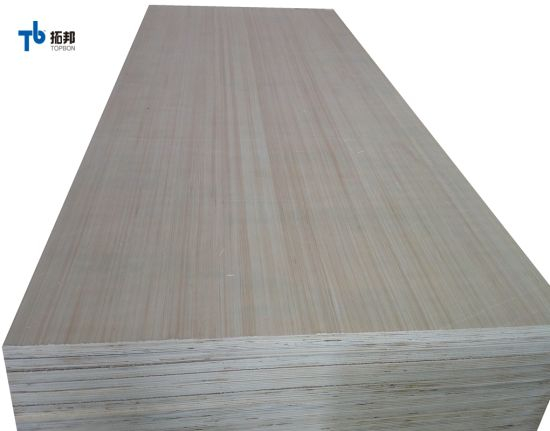 Top Quality EV Poplar Plywood for Furniture