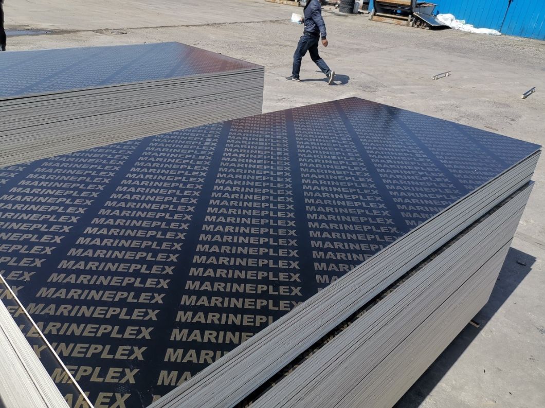 Top Quality Black Film Faced Plywood 18mm
