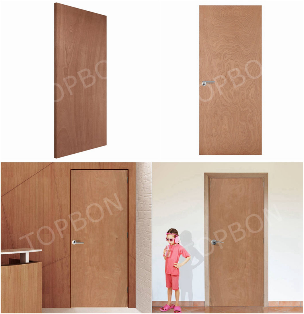 Interior Plywood Bedroom Door Price with Frame