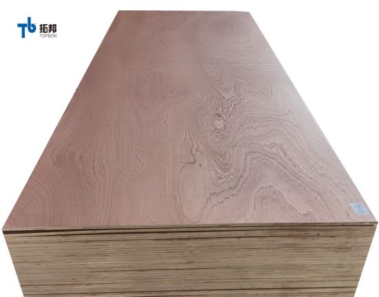 Commercial Sapele Plywood From China with Wholesale Price
