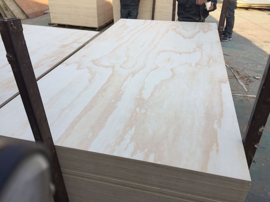 9mm Pine Plywood/Commercial Plywood with Cheap Price