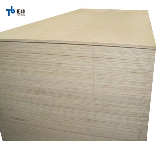 25mm Birch Veneer Plywood for Furniture