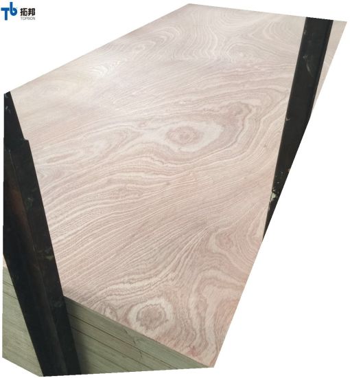 Sapele Plywood/Furniture Plywood for Mexico Market