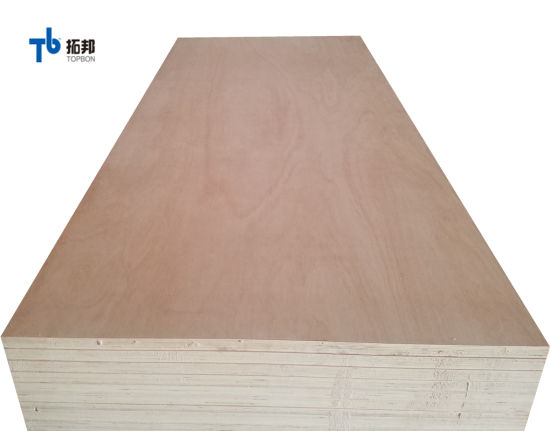 Commercial Plywood/Furniture Plywood/Plywood with Competitive Price