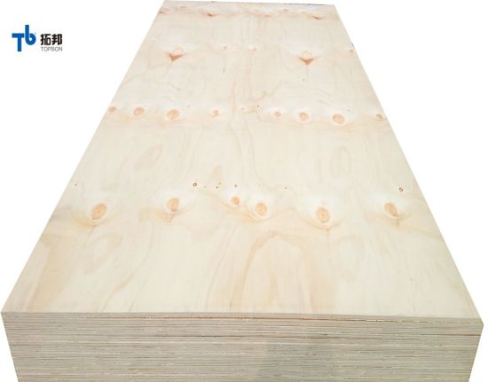 Competitive Price Construction CDX Pine Plywood