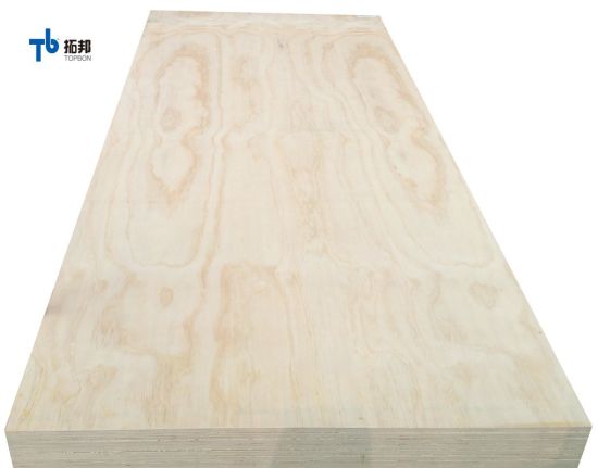 Construction Grade Pine Plywood for Sale