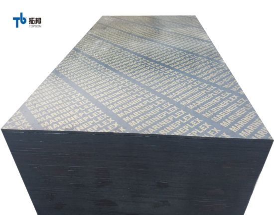Formwork Plywood/Construction Plywood/Marine Plywood with Thickness 12/15/18mm