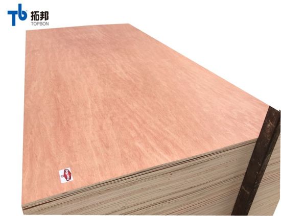 Good Quality Bintangor Plywood for Furniture Manufacturing