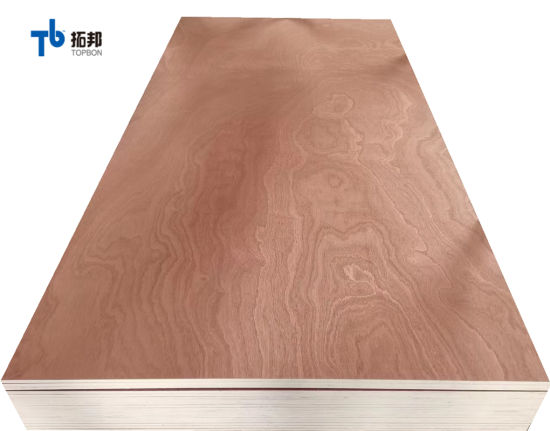 9mm Sapele Plywood/Commercial Plywood for Mexico Market