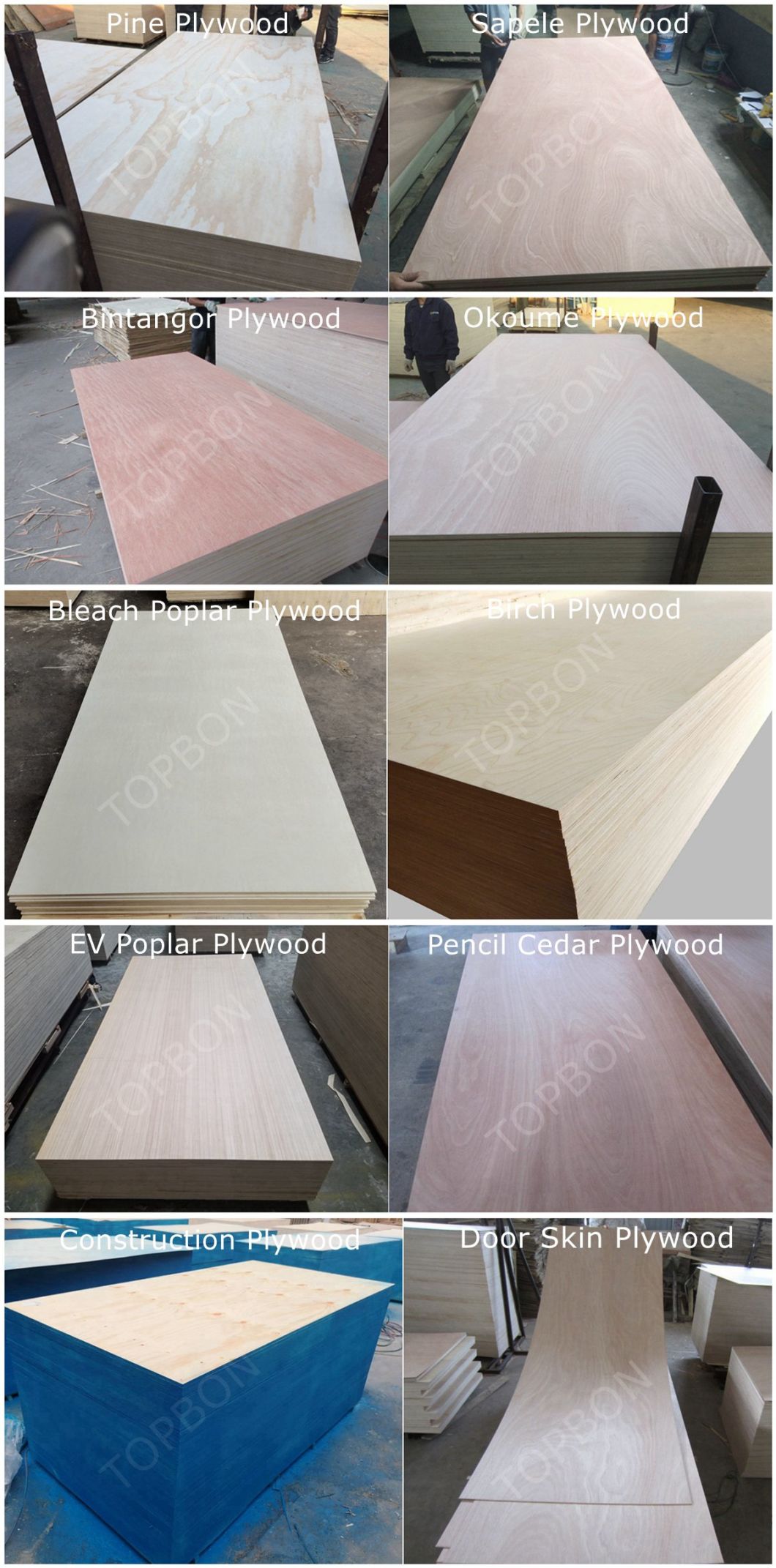 12mm Okoume Plywood/Furniture Plywood with Cheap Price