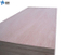 Plywood/BB/CC Grade Bintangor Plywood & Okoume Plywood for Furniture