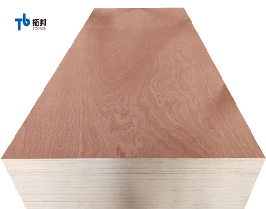 Sapele Plywood/Furniture Plywood for Mexico Market