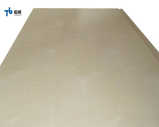 12mm Birch Plywood/ Plywood Sheet with High Quality