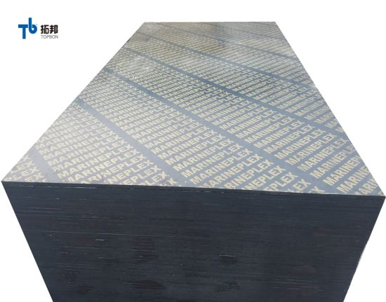 Construction Film Faced Plywood 12mm