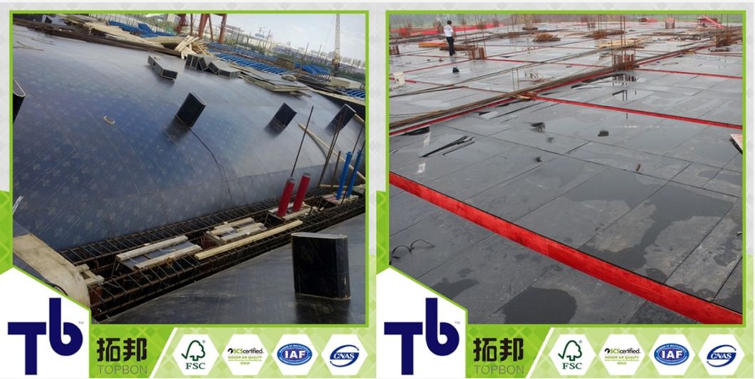 Good Price Black Film Faced Plywood for Construction Usage