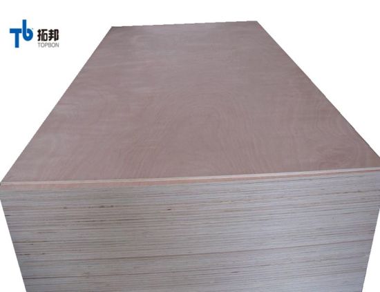 Commercial Plywood with Okoume Face