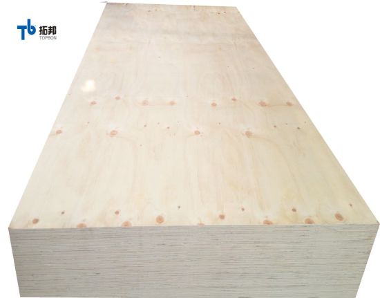 15mm Construction Pine Plywood with Low Price