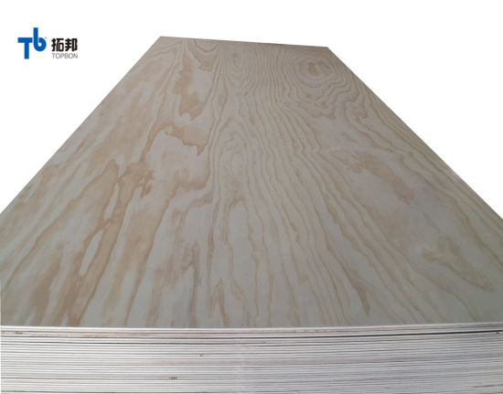 Cheap Price Pine Plywood for Foreign Market