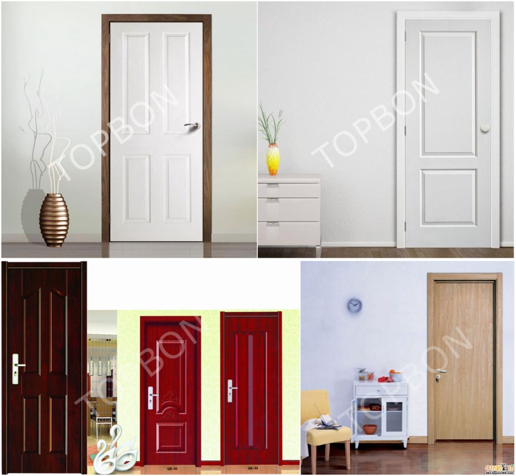 Interior Door White /Door White with Cheap Price
