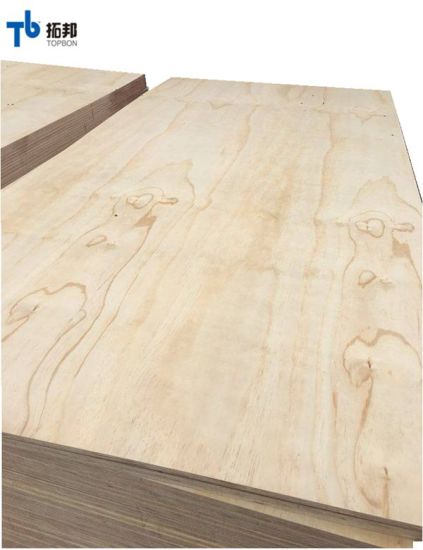 Cheap Price Pine Plywood for Furniture