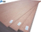 2150*920/820/720mm Size Okoume/Bintangor Door Skin Plywood