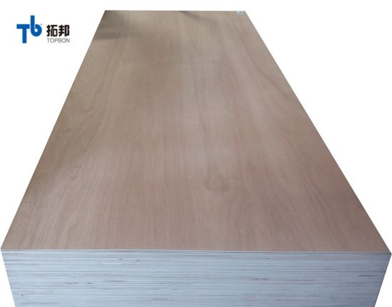 High Quality Pencil Cedar Plywood with Good Price