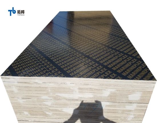Black and Brown Film Faced Plywood with High Quality