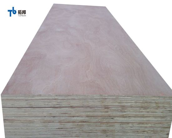 Cheap Price Sapele Plywood for Foreign Market