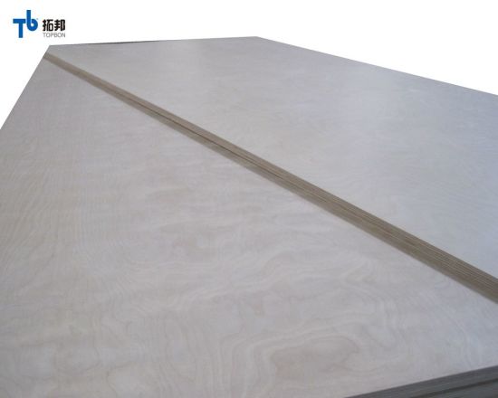 Commercial Birch Plywood From China with Wholesale Price