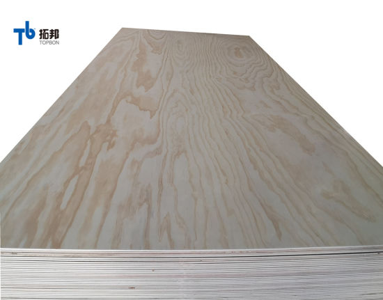 Competitive Price Natural Pine Plywood in Sale