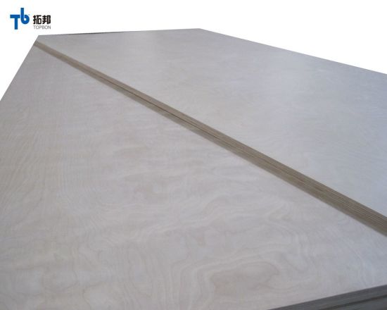 15mm Birch Plywood/ Plywood Sheet with High Quality