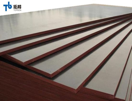 Finger Joint Film Faced Plywood for Middle East Market