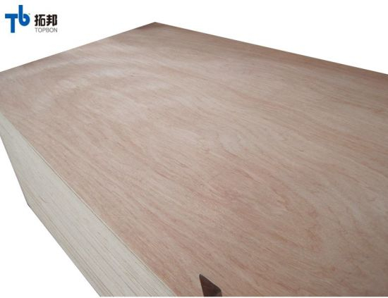Pencil Cedar Plywood /Bintangor Plywood Used for Furniture
