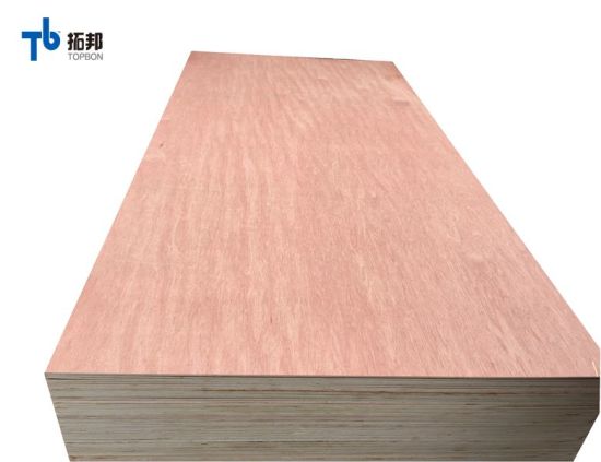 Fancy Natural Beech/Walnut/Teak/Bintangor/Okoume/Sapeli/Oak Plywood for Furniture with E0 Glue