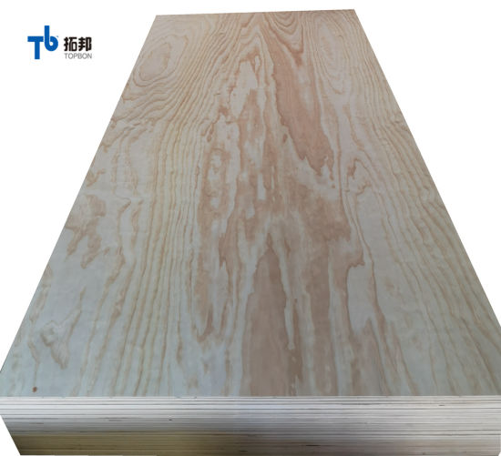 Cheap Price Pine Plywood with Wholesale Price