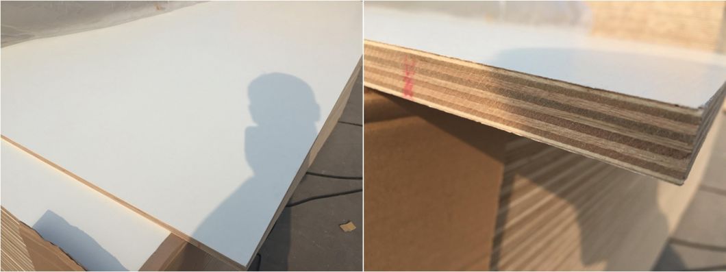High Quality Melamine Plywood for Foreign Market with Wholesale Price