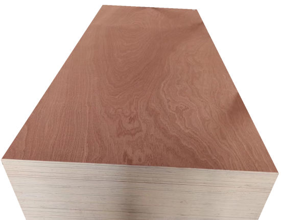 18mm Sapele Plywood/Commercial Plywood for Mexico Market