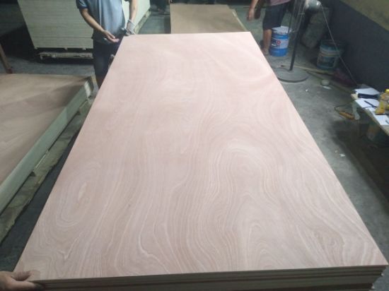 Commercial Plywood/Furniture Plywood/Plywood with Competitive Price