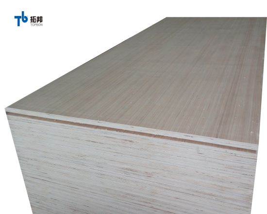 Good Quality EV Poplar Plywood with Low Price