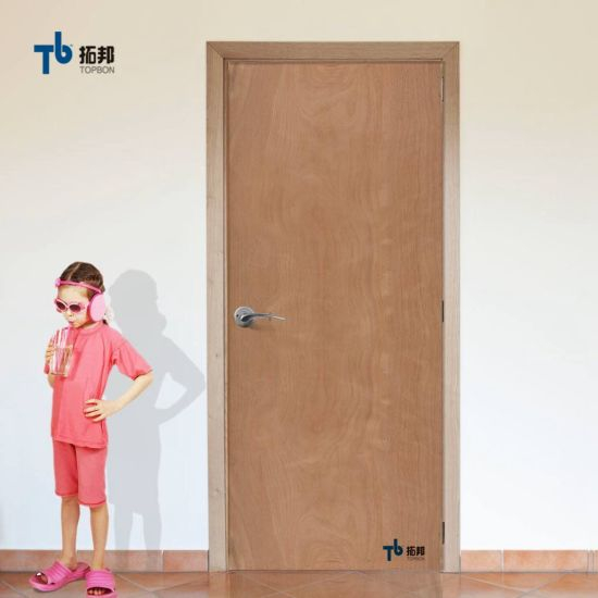 Plywood Door/Door with Cheap Price